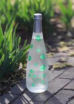新款酒瓶-009  
